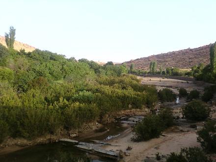 Image of El Ghicha Image of El Ghicha