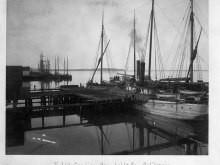 Imagen de Fields Landing Imagen de Fields Landing
