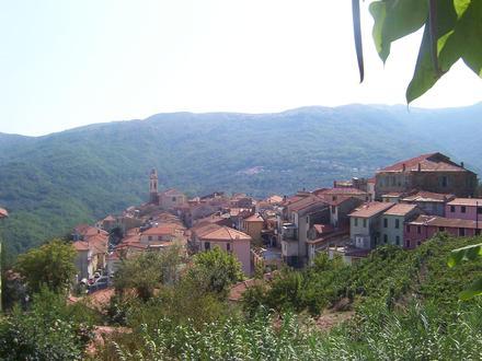 Bild von Aurigo Bild von Aurigo