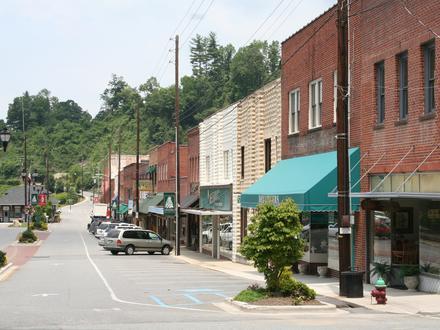Image de Spruce Pine Image de Spruce Pine