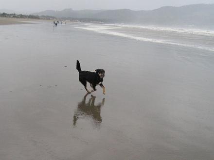Image of Agate Beach, Oregon