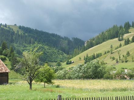 Image of Lunca de Jos