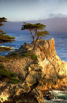 Immagine Pebble Beach Immagine Pebble Beach