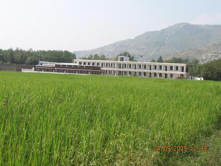 Image of Badwan Image of Badwan
