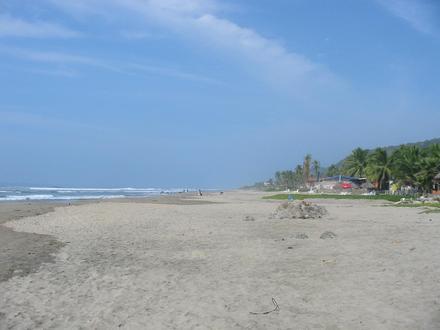 Image of Troncones Image of Troncones