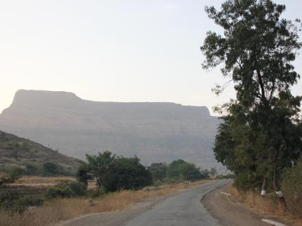 Image of Mulher Image of Mulher