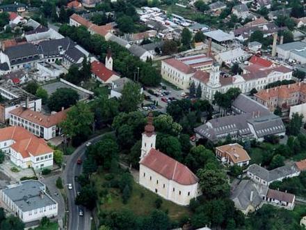 Immagine Tamási Immagine Tamási