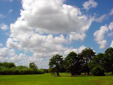 Image of Redland, Florida