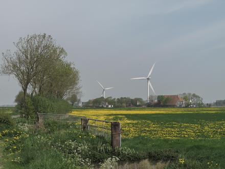 Image of Kûbaard