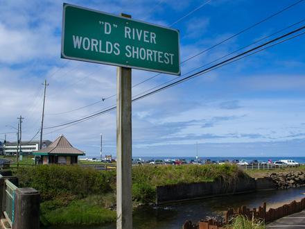 Image of D River State Recreation Site