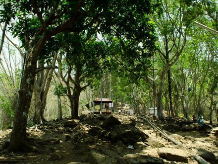 Image of Malayattoor