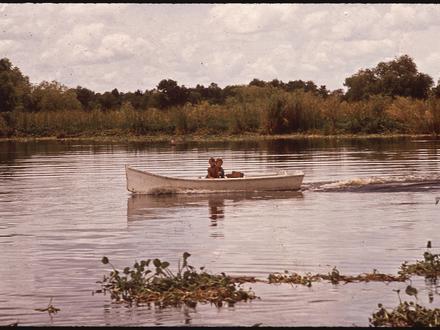Imagen de Bayou Gauche Imagen de Bayou Gauche