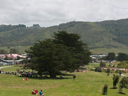 Bild von Apollo Bay Bild von Apollo Bay