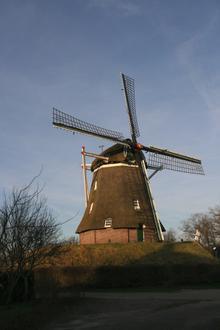 Afbeelding van Ane Afbeelding van Ane
