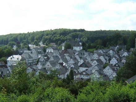 Immagine Freudenberg Immagine Freudenberg