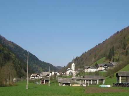 Slika Zali Log