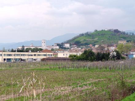 Immagine Porcari Immagine Porcari