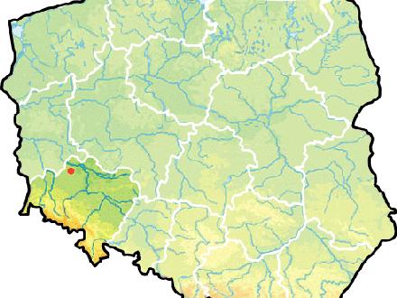 Image of Gmina Radwanice
