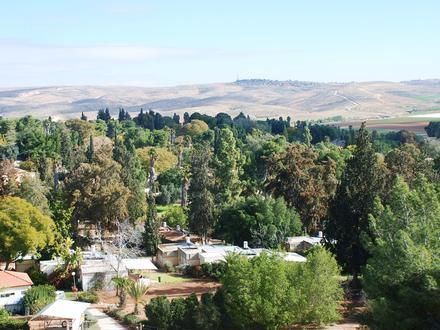 Image of Lahav Image of Lahav