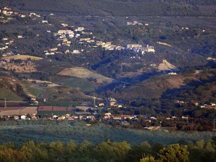 Immagine Alviano Immagine Alviano