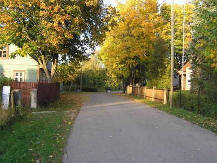 Tapa képe