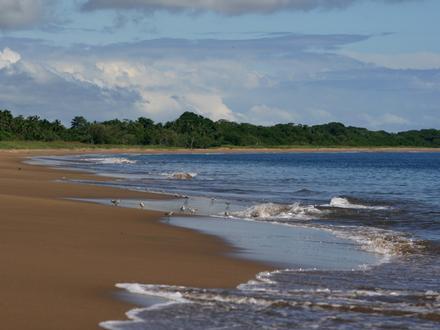 Imagen de Pedasí