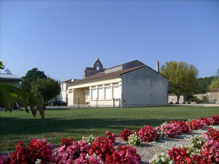 Immagine Luchat Immagine Luchat