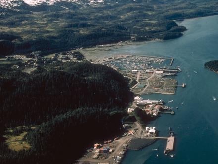 コードバの画像 コードバの画像