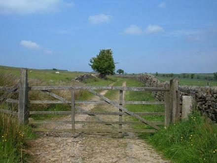 Image of Stainburn