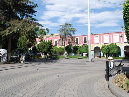 Bild på Texcoco de Mora
