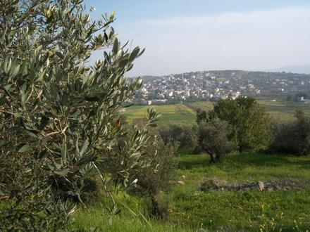 Image of Misilyah Image of Misilyah