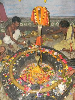 Image of Baghamari Image of Baghamari