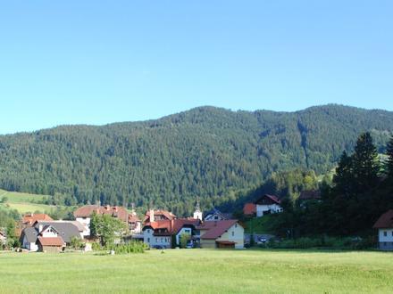 Image of Luče Image of Luče