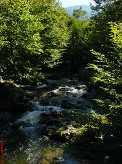 Glavanovtsi Image