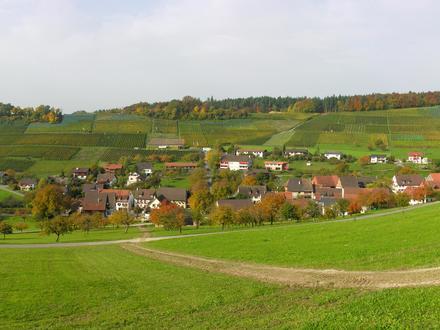 Bild von Wilchingen Bild von Wilchingen