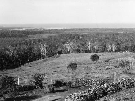 Image of Buderim