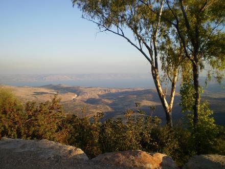 Image of Amirim Image of Amirim