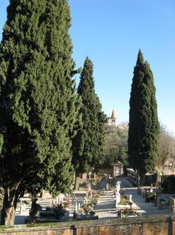 Bild von Torreglia