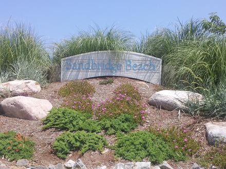 Image of Sandbridge Beach Image of Sandbridge Beach