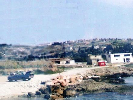 Bild von Insariye