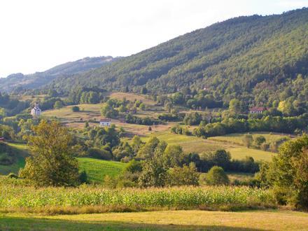 Slika Grivska Slika Grivska