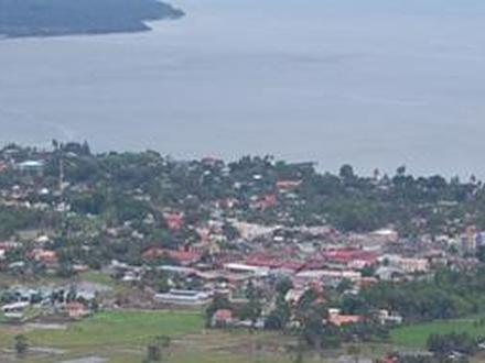 Imagen de Giñgoog