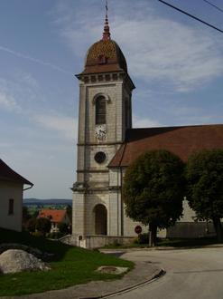 Zdjęcie dla: Loray