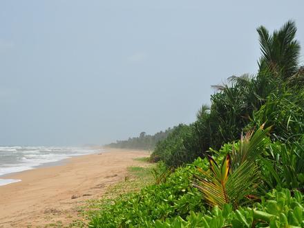 Image of Bentota Image of Bentota