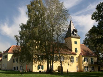 Bild von Thal SG