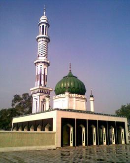 Image of Allo Mahar