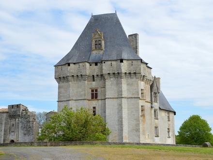 Immagine Cherveux Immagine Cherveux