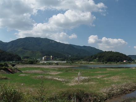 Bild von Wanju