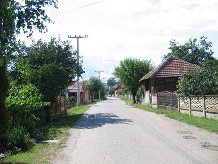 Slika Dragovo