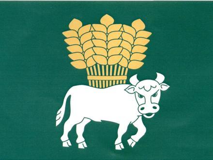 Bild von Suchá